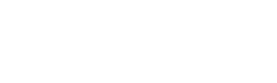 Главная WordPress